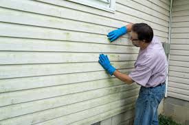 Best Siding Removal and Disposal  in Tuscoosa, AL